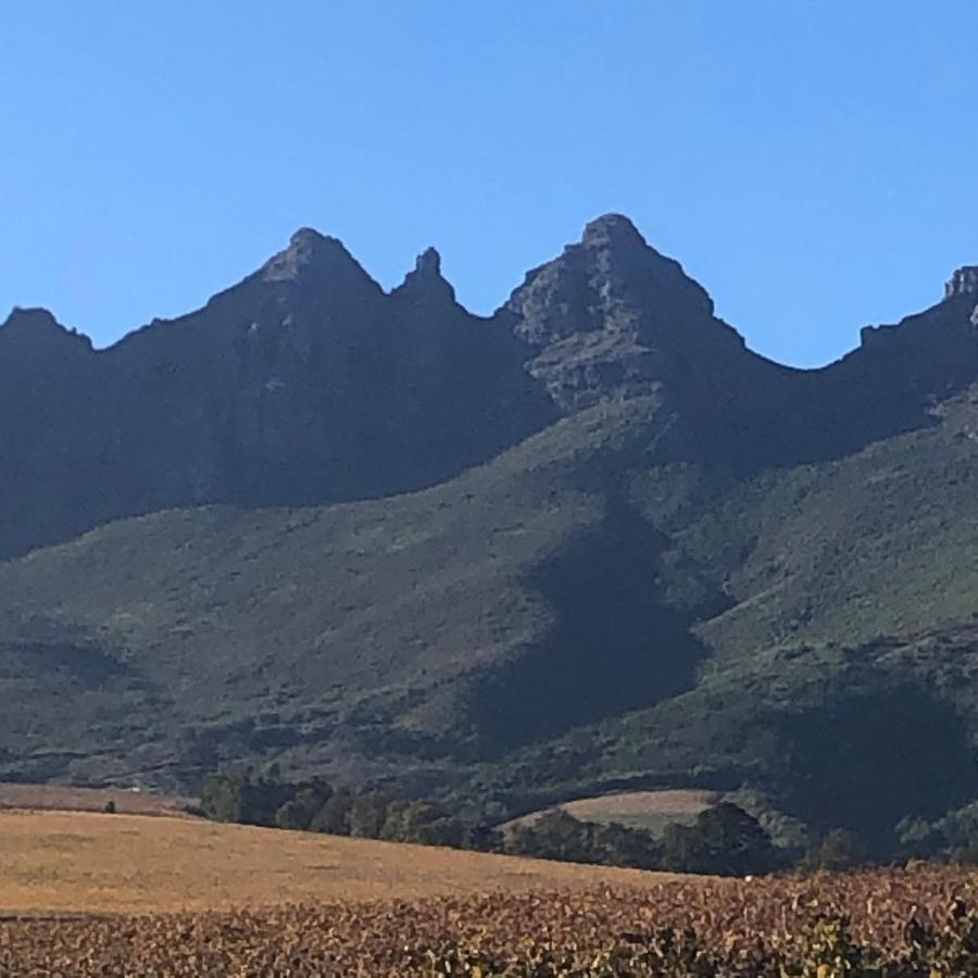 Longfield House Villa Stellenbosch Kültér fotó