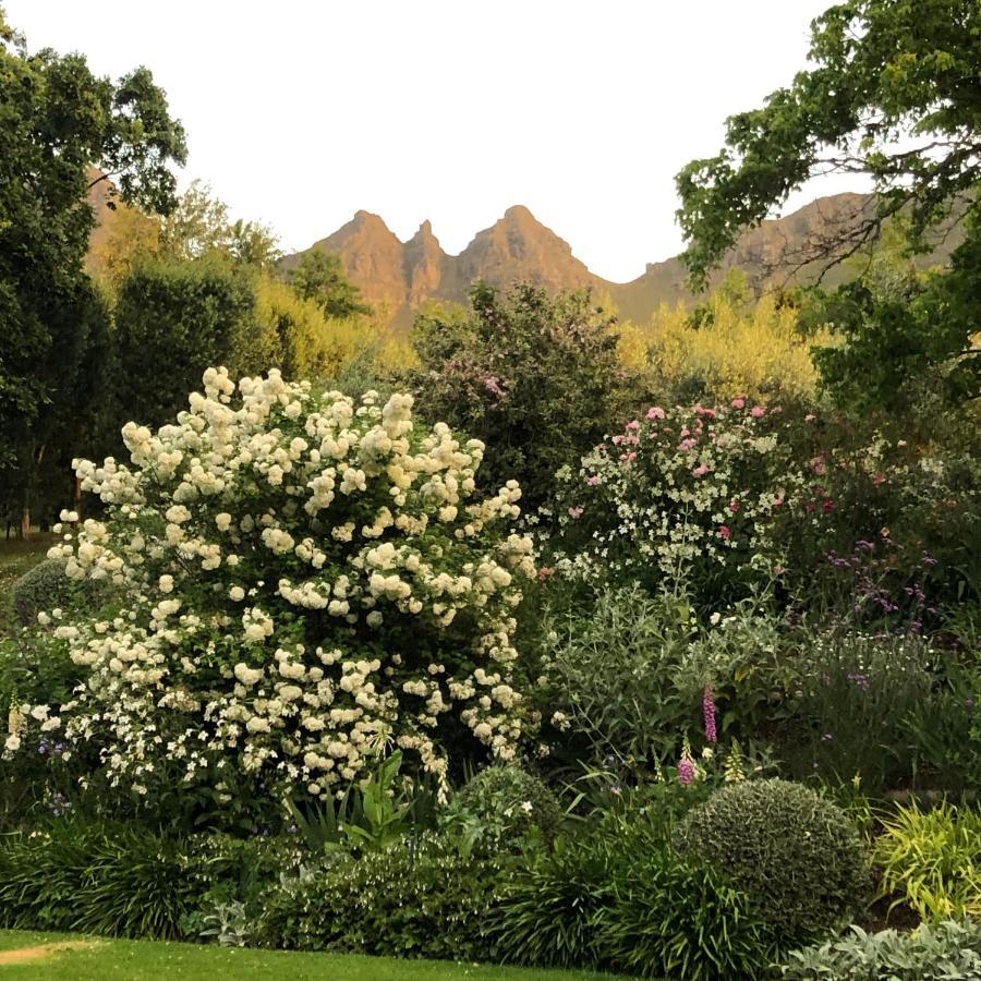 Longfield House Villa Stellenbosch Kültér fotó